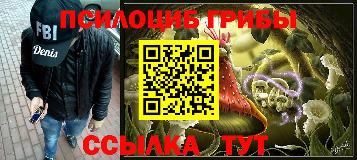 Партизанск  Галлюциногенные грибы мухоморы  Галлюциногенные грибы прущие грибы  Вход с VPN 
